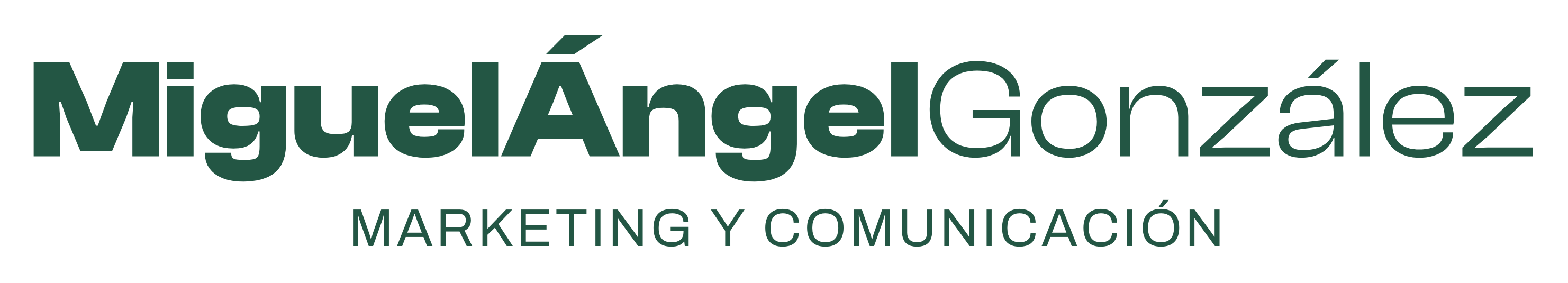 Miguel Ángel González Marketing